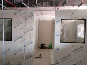 BSLtech project site 2