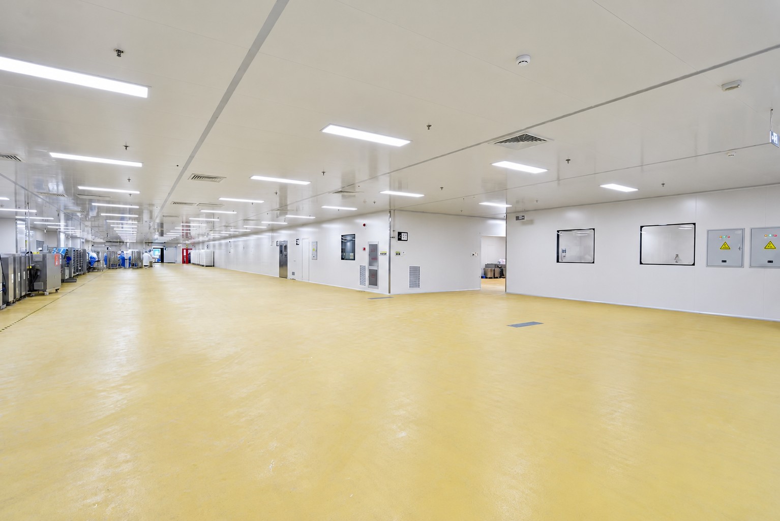 Food-production room with wall panels, observation windows and yellow cleanable flooring