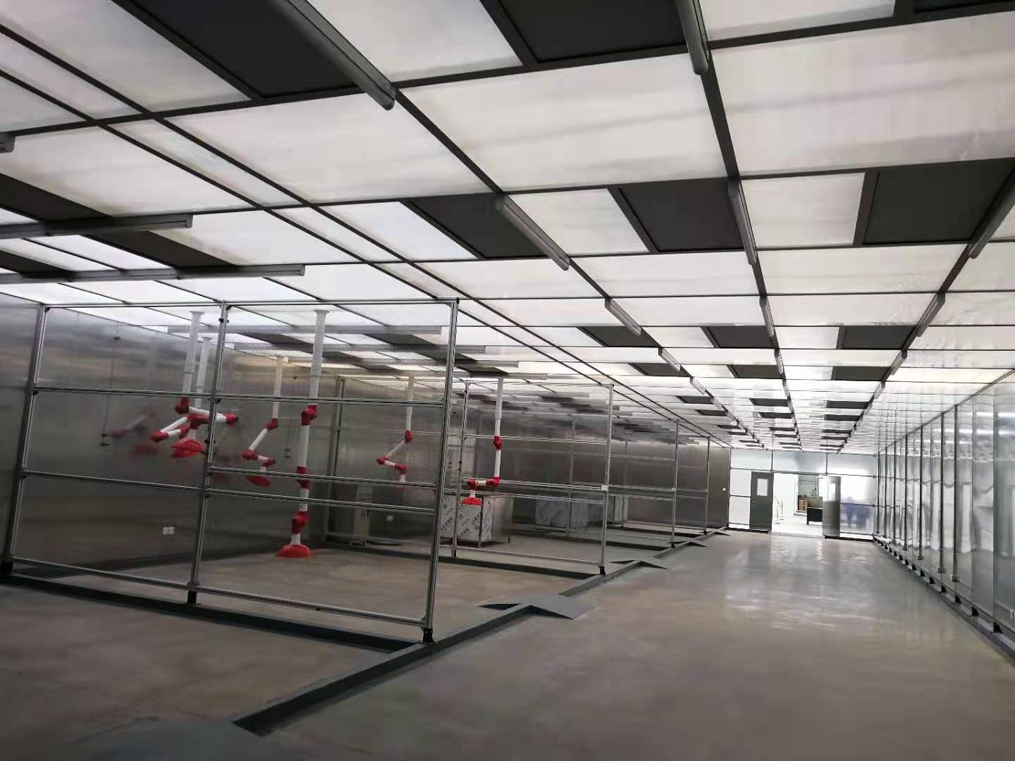 A grid of ceiling panels and light fittings above metal-framed enclosed areas under installation
