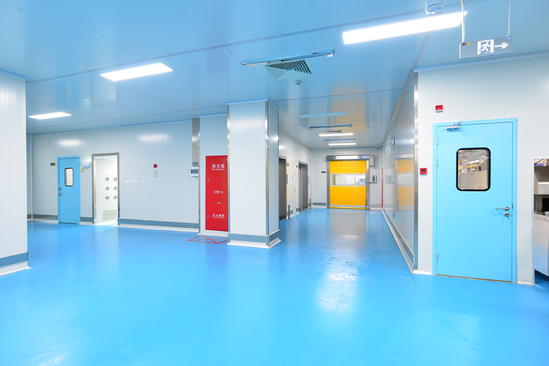 Blue hinged doors with vision windows beneath ceiling lights in a panel-lined room